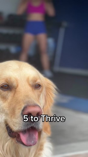 A great way to start your day is by doing a full-body workout with a pair of DB’s. This 5 to thrive is a rep scheme of 10 down to 1 of DB thrusters & DB renegade rows. Get as far as you can in 5 min to work your entire body & burn calories. This workout will also strengthen your legs & arms to help take your fitness outdoors! #fitness #workouts #dumbbellworkouts #exercise #movements #viral #health #happy #tiktok #fyp