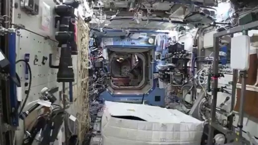 In 2016, a NASA astronaut surprised his crewmates by wearing a gorilla suit onboard the International Space Station.