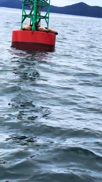 travel and see the world. #alaska #juno