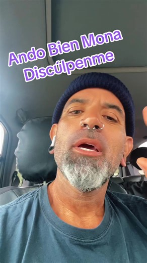 #lamona #mona | la mona