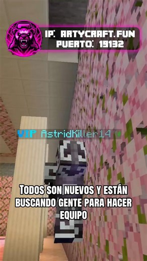 Estas jugadoras buscan amigos en mi servidor 🥺 #minecraft #server #artycraft #java #bedrock
