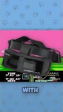 Ranking EVERY Nintendo Game #57 - Famicom Grand Prix II: 3D Hot Rally (FDS)