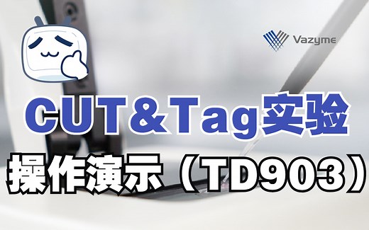 CUT&Tag实验操作演示（TD903）