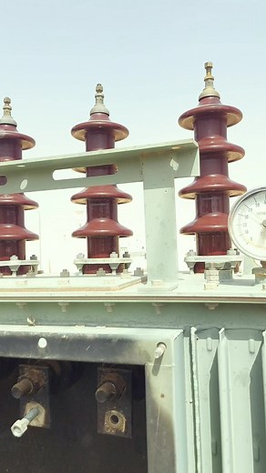 Bird nest | Electrical Works