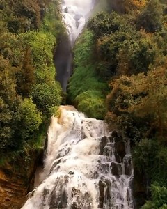 18K views · 1.3K reactions | The music of Lebanon’s nature   By @mouradhalimi #WeAreLebanon | We Are Lebanon | Facebook