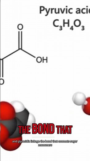 Carbohydrates Explained: Monosaccharides, Disaccharides & More!