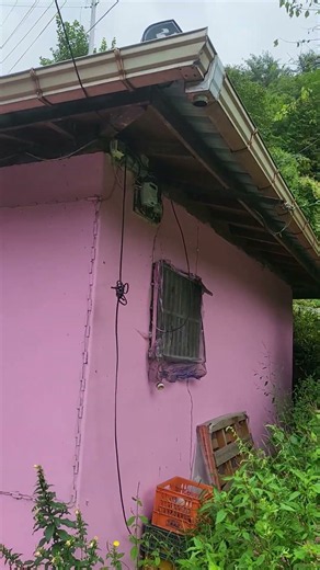 촌집 흙집 폐가 시골집 농가주택 한옥 리모델링할까 말까