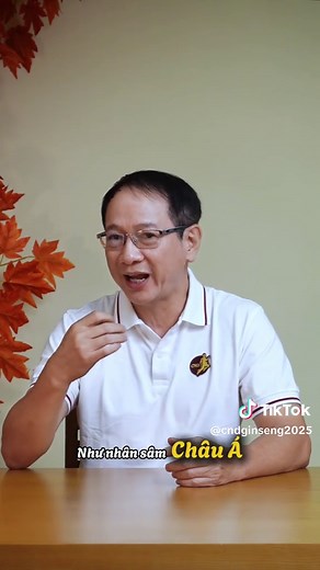 Nhân sâm là thần dược chữa bệnh? #nhansamcnd #nhansam #suckhoe #fyp #viral
