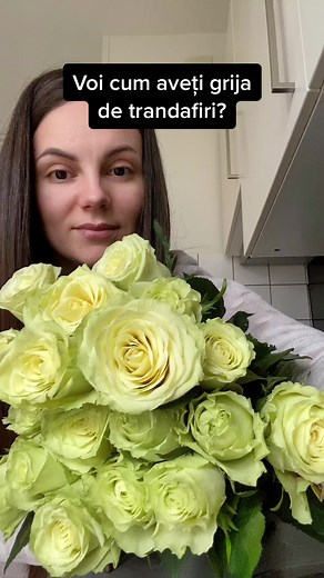 How to Trim Light Green Roses in Your Kitchen