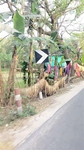 uff this view #love #travel #love #foryou #waterfall #video