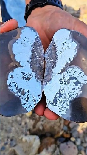 The Hidden Treasure: The Magnificent Butterfly Geode Unveiled! 🦋