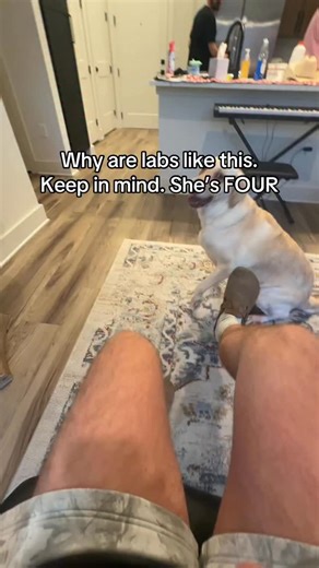 Preston Chase on Reels