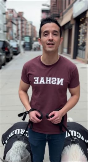 Tibo et ses nouveaux gardes du corps ! 🐖 #tiboinshape #funny #humor #ia