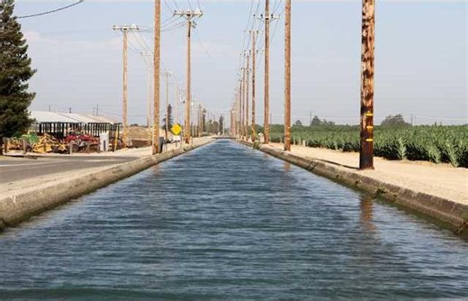 TID board approves 44-inch irrigation allotment