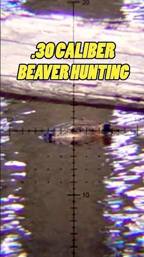 Headshot: Beaver Hunting in Patagonia