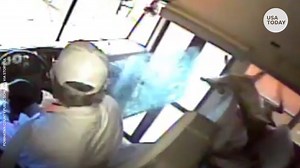 Deer crashes through school bus windshield in Virginia