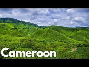 Discover the Wonders of Cameroon