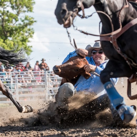 Skiroule Everything | I finally got the old girl out on the snow had to change the drive cogs man I wouldn’t put that on my worst enemy two days, but I figured it all out... | Facebook