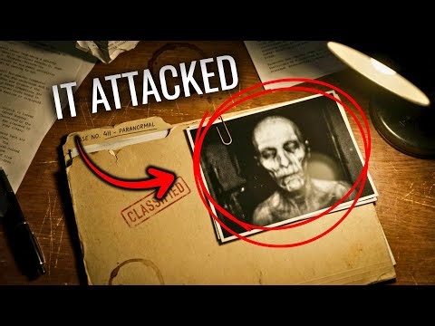 The Strange Disappearances In National Parks That Were Labeled ‘Unexplainable’