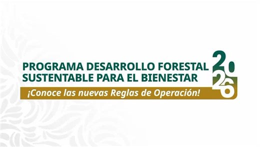 El náhuatl es la lengua indígena con más hablantes en México. Muchas palabras que usamos provienen de ella; por eso es importante impulsar el desarrollo de las comunidades que la mantienen viva 🏘️🗨️ Si habitas en zonas forestales 🌲, solicita los apoyos que ofrece la CONAFOR. | Comisión Nacional Forestal