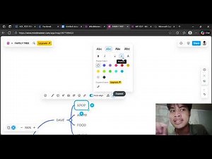 MINDMEISTER TUTORIAL