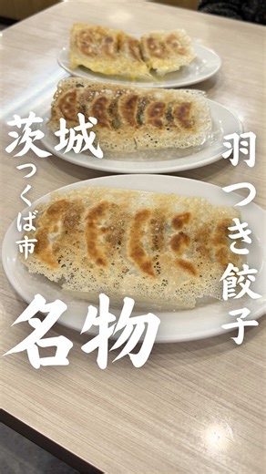 羽つき餃子が楽しめる福軒餃子の魅力