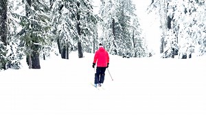 2.2K views · 76 reactions | The 4 week Adult Ski Workshop starts...