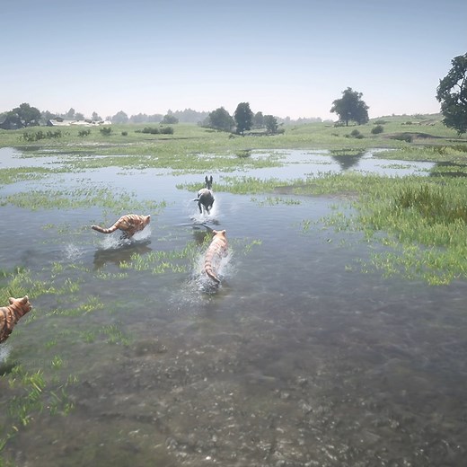 4.1M views · 10K reactions | Donkey Impossible escape from Tigers | Kesari Gaming | Facebook