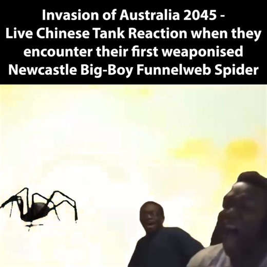 Security Humour - Australia on Reels