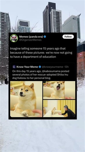 The Doge Meme Is 15 Years Old And Apparently Responsible For Ending Public Education #Funny