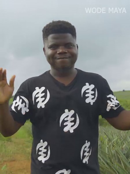 The Biggest Pineapple Farm and Fruit Juice Factory in West Africa | Wodemaya