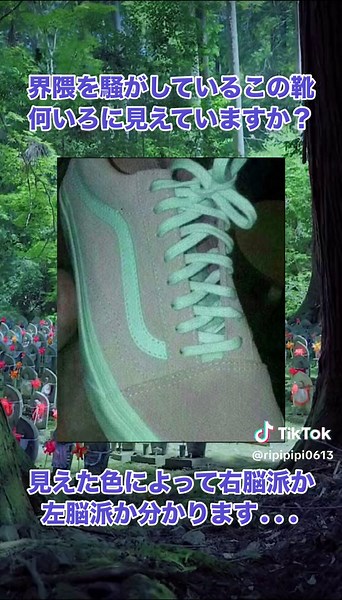 #視覚効果 #錯覚 #騙し絵 #左脳 #右脳 #心理テスト #診断結果 #不思議な現象