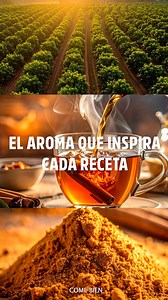 Color, aroma y textura. La esencia del sabor en su forma más pura, Canela McCormick. | McCormick México