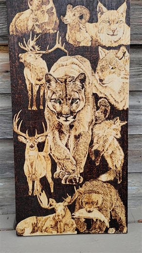 Wildlife pyro! Hand burned. | Dennis Cound
