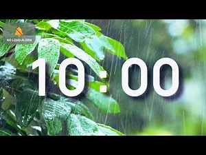 10 Minute Classroom Timer with Music | Rainy Forest Calm — NO LOUD ALARM