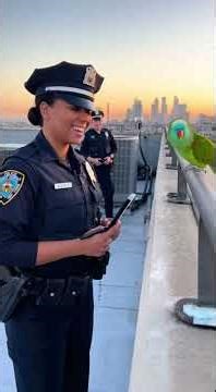 .💀👮🦜