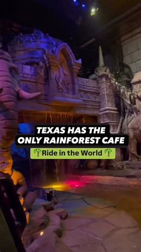 TEXAS HAS THE ONLY RAINFOREST CAFÉ RIDE IN THE WORLD! 🌴 Follow @theaustintourist for more! Get ready for an exciting adventure at the world’s only water ride located beneath the @rainforest_cafe in Galveston, TX! The rainforest jungle filled with exotic animals, featuring twists and turns. It’s not just a kids ride, it’s fun for adults too. We loved it so much! 🐢 Open 7 days a week 🦍 $10 per person, kids under 2 free You don’t have to dine at the restaurant to enjoy this amazing ride! Tag som