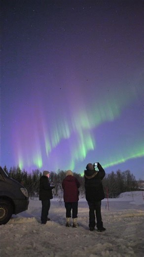 Last night was very nice with lots of pink aurora | Aurora Borealis Observatory