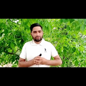 176K views · 11K reactions | #Congratulations Waseem Ahmad Bhat From Dooru Anantnag district has qualified prestigious IAS exam with 7th Rank. JAMMU and kashmir Report by shokit ch 9086997250 | Diem News India | Facebook