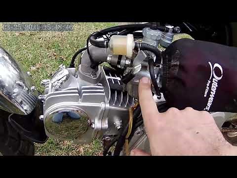 Icebear champion review and mods