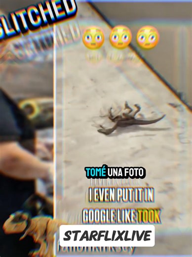 Break room mystery 🦖 Small dinosaur found lifeless on the floor. Was it a tiny T-Rex or just a bug's snack? . . #dinosaur #lizard #reptile #creature #alien