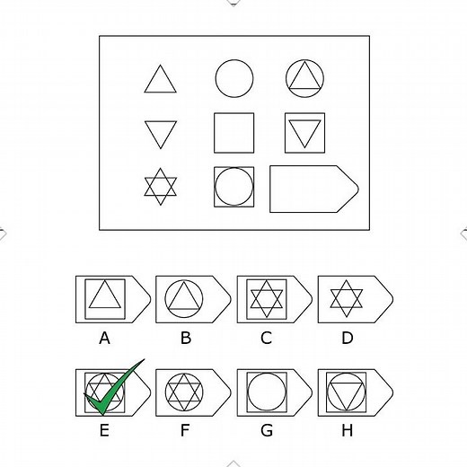 Raven's Progressive Matrices Practice Book