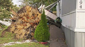 Indiana man watches tree fall on his deck after severe weather passes through area