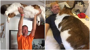 Samson aka Catstradamus, The Largest Cat in New York City and the DJ Human Who Shares His Space