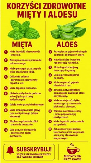 Mięta vs aloes. Która roślina leczy lepiej?