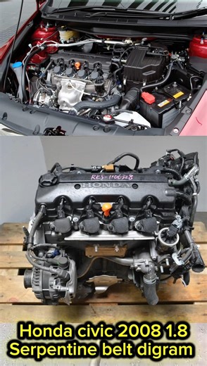 Honda civic 2008 alternator belt diagram & Serpentine belt diagram #hondacivic