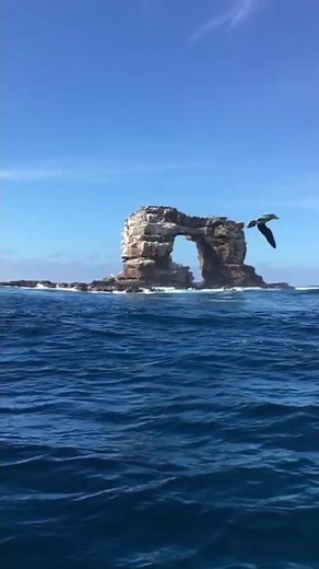 'The Last to See the Arch': Ocean Researchers Capture View of Darwin's Arch Before Its Collapse