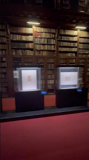 Touching the Genius: Leonardo’s Atlantic Codex #shorts