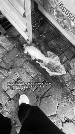 Kesana Kesini Cari Kasih Sayang Keluarga