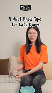 50K views · 579 reactions | Are you aware that cats need dental care to avoid problems like tartar and gingivitis? Check out these additional tips for raising a cat. #kitcat #petadvice #cattips #catfood #catlovers #catcare #petcare #sgcats #catsofinstagram | Kit Cat International | Facebook